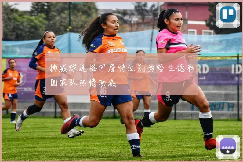 挪威球迷恪守詹特法则为哈兰德和国家队热情助威